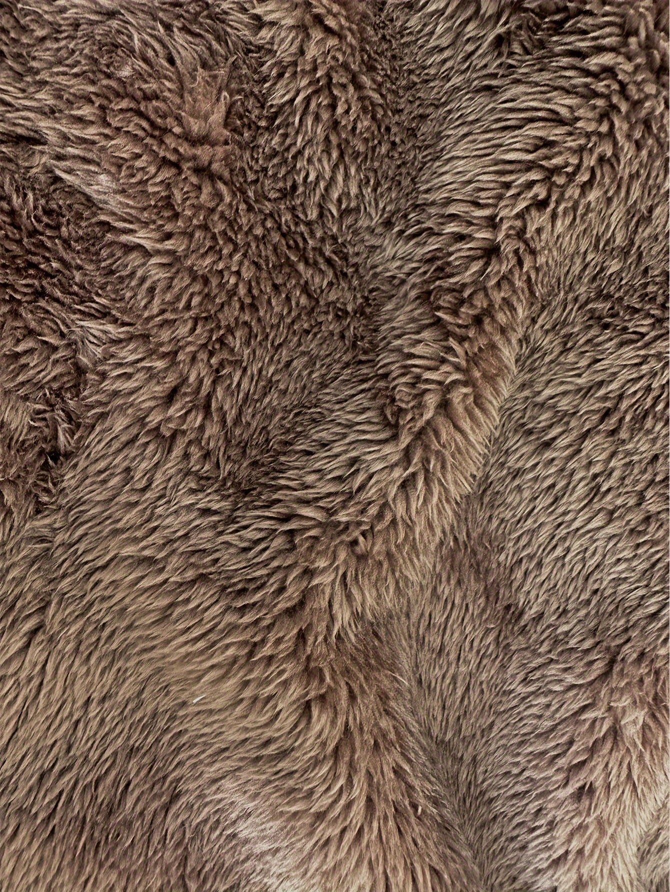 Teddy-Jacke | stilvoll und warm